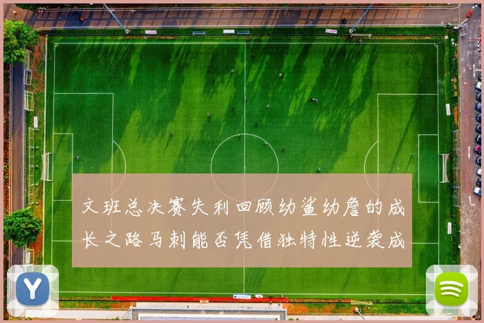 文班总决赛失利回顾幼鲨幼詹的成长之路马刺能否凭借独特性逆袭成功